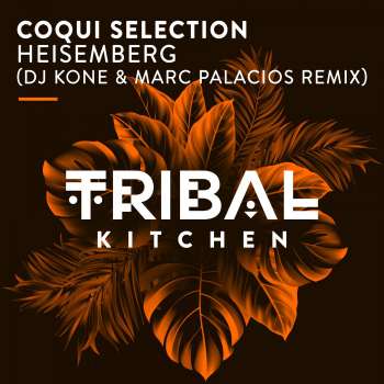 包年77《电音-商务舱》4段152ABAB沈风（英文经典）-试听