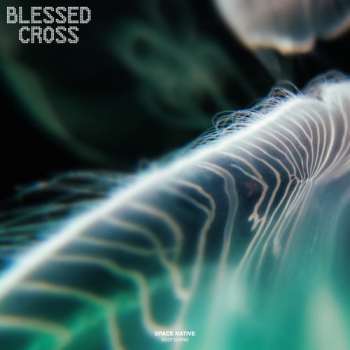 高级41《难道要认命吗》Y鼓-152AAA无过渡-就是南方凯（中文流行）试听