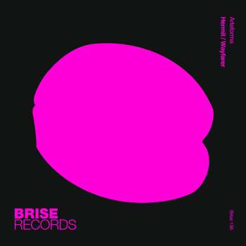 包年38《若是月亮没来》大气版-152杨宗宪（中文经典）试听